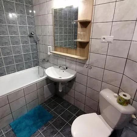 Guest house Polana 2*