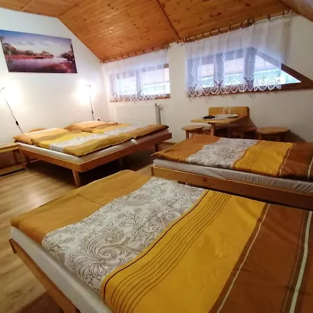 Polana Guest house 2*